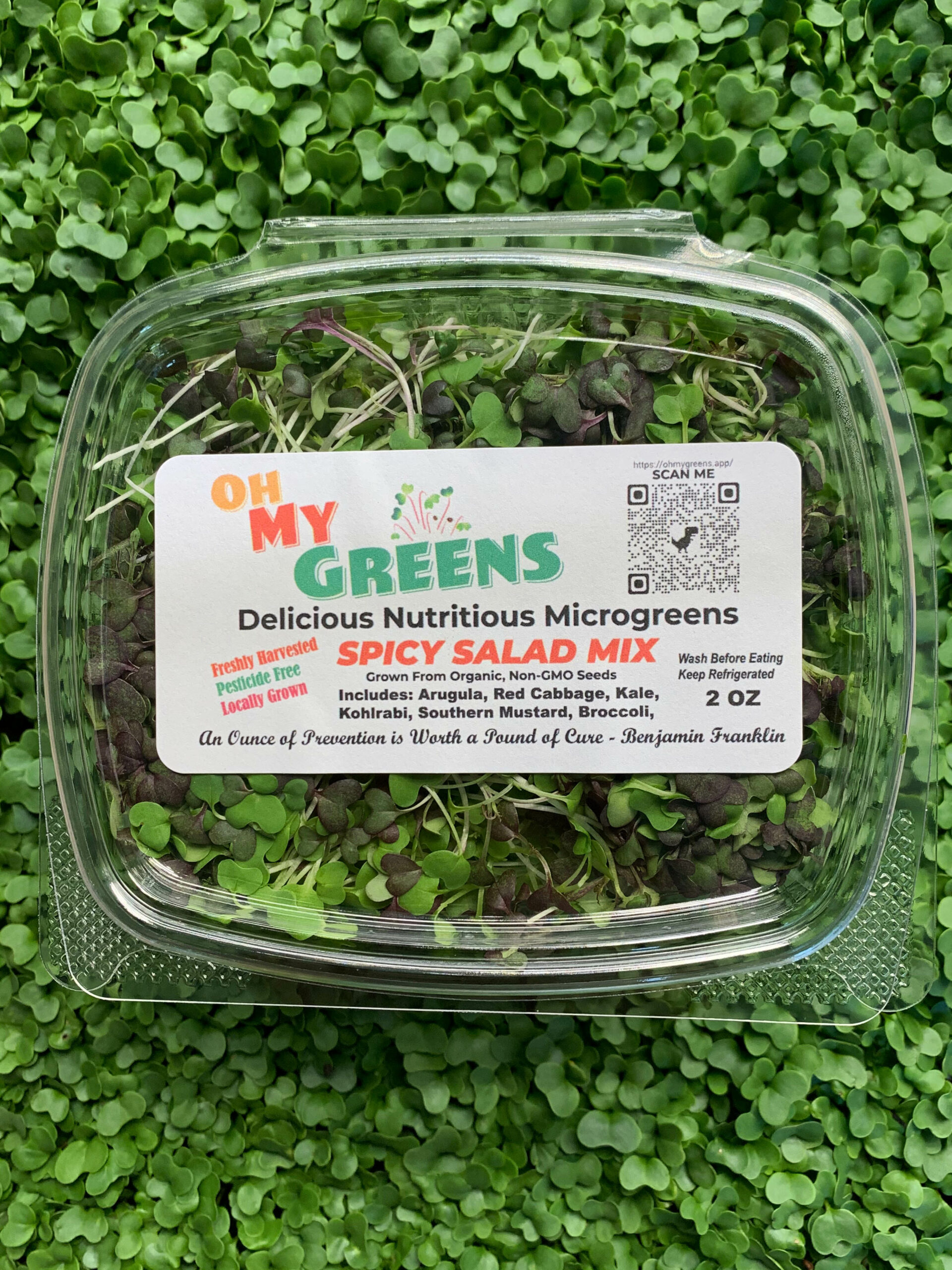 Mixed Greens Seeds - Spicy Mesclun Mix