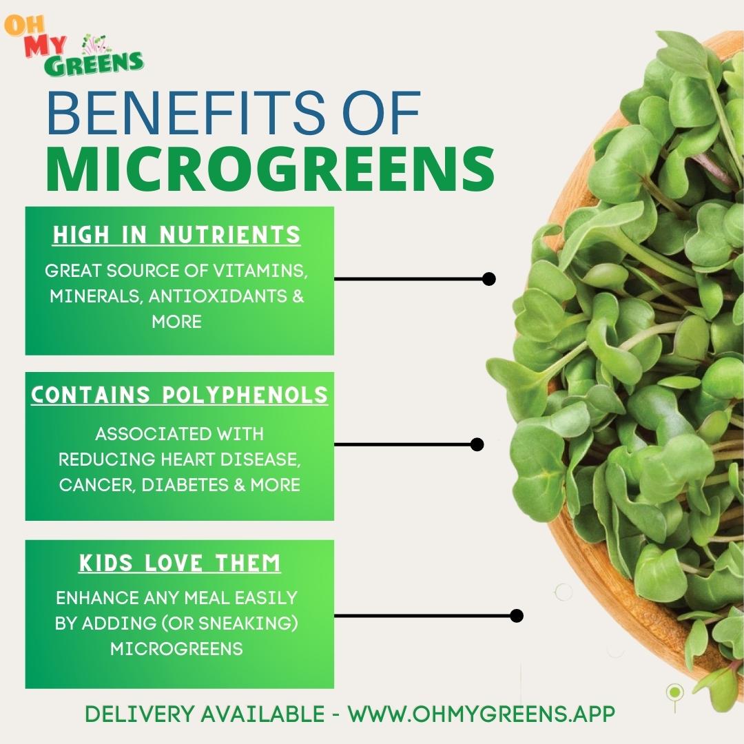 What Are Microgreens OhMyGreens